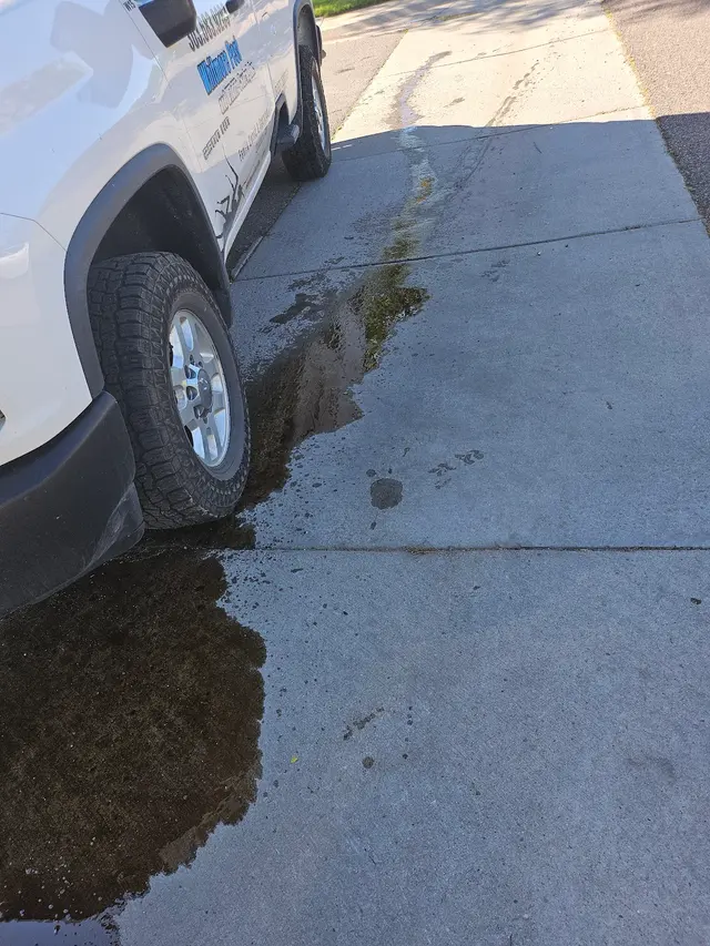Whitmore Pest & Wildlife Control of Denver — customer photo 7