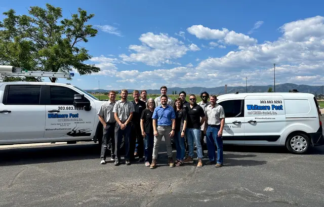 Whitmore Pest & Wildlife Control of Denver — photo from the business 1