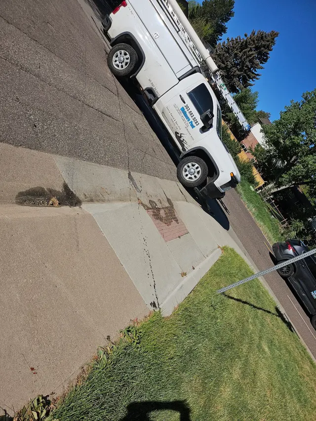 Whitmore Pest & Wildlife Control of Denver — customer photo 9
