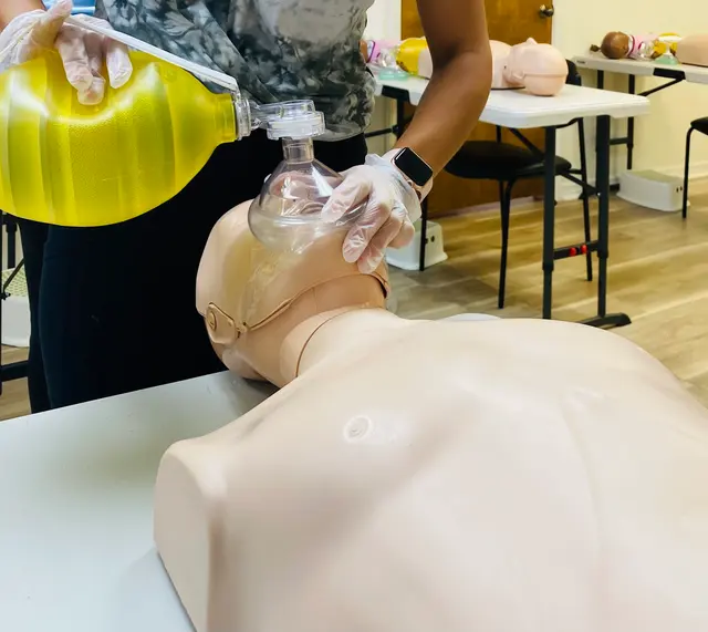 HealthForce CPR BLS ACLS PALS Gainesville, FL — photo from the business 3