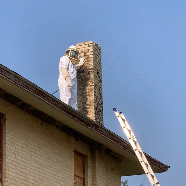 Whitmore Pest & Wildlife Control of Littleton — photo from the business 3