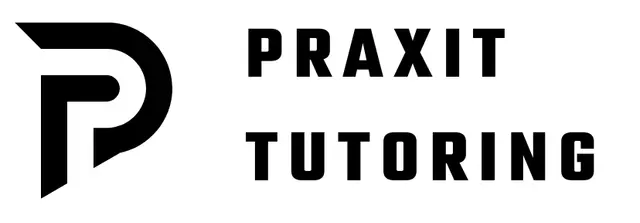 Praxit Tutoring — photo from the business 2