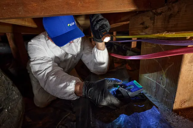 Axiom Eco-Pest Control — photo from the business 6