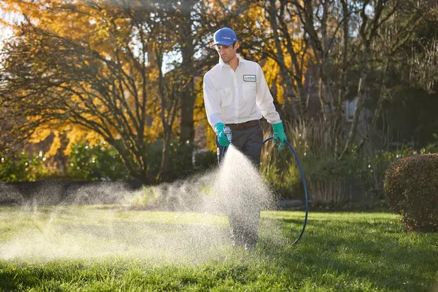Axiom Eco-Pest Control — photo from the business 3