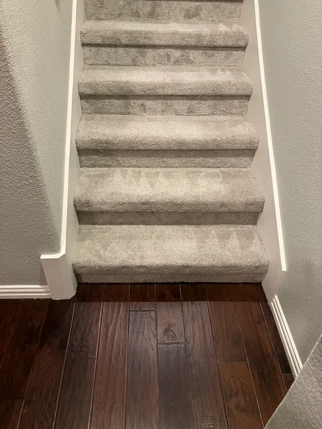 Customer photo from Michele's review