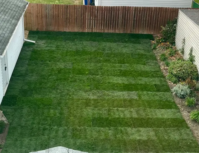 Pappas & Co. Landscaping — customer photo 6