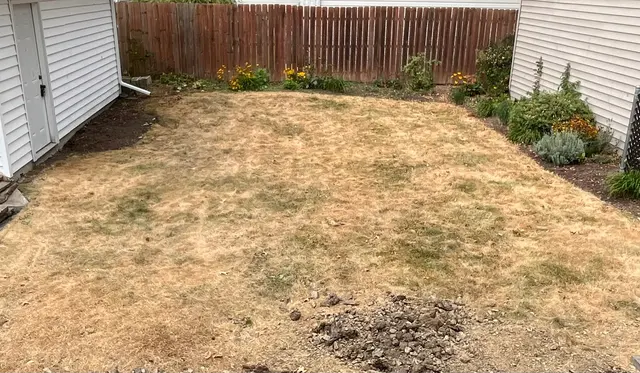 Pappas & Co. Landscaping — customer photo 8