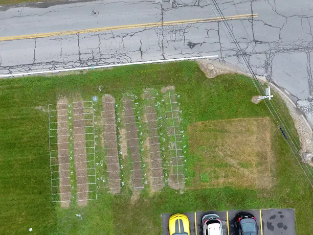 Good Nature Organic Lawn Care — photo from the business 8
