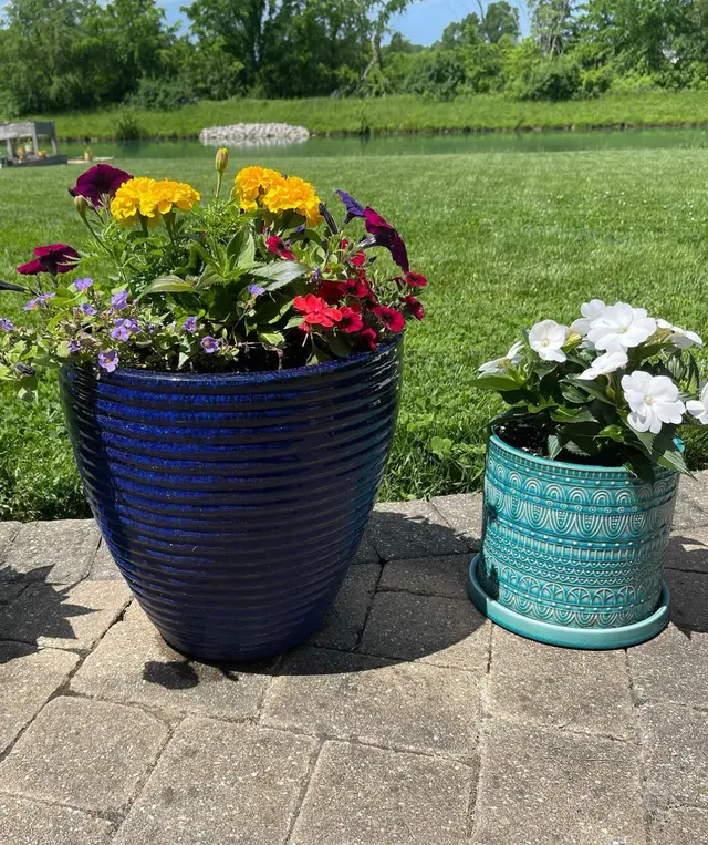 Good Nature Organic Lawn Care — customer photo 6