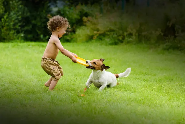 Good Nature Organic Lawn Care — photo from the business 3