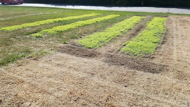 Good Nature Organic Lawn Care — photo from the business 11