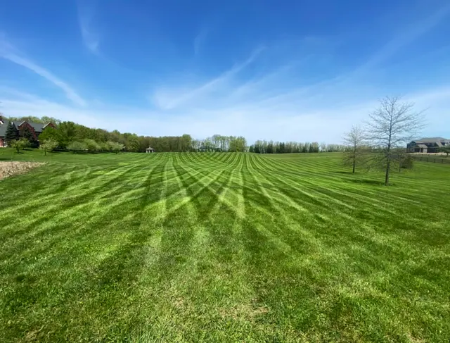 Johnson's Landscaping — photo from the business 5