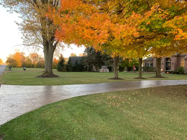 Clean N’ Green Lawn Services LLC — photo from the business 9