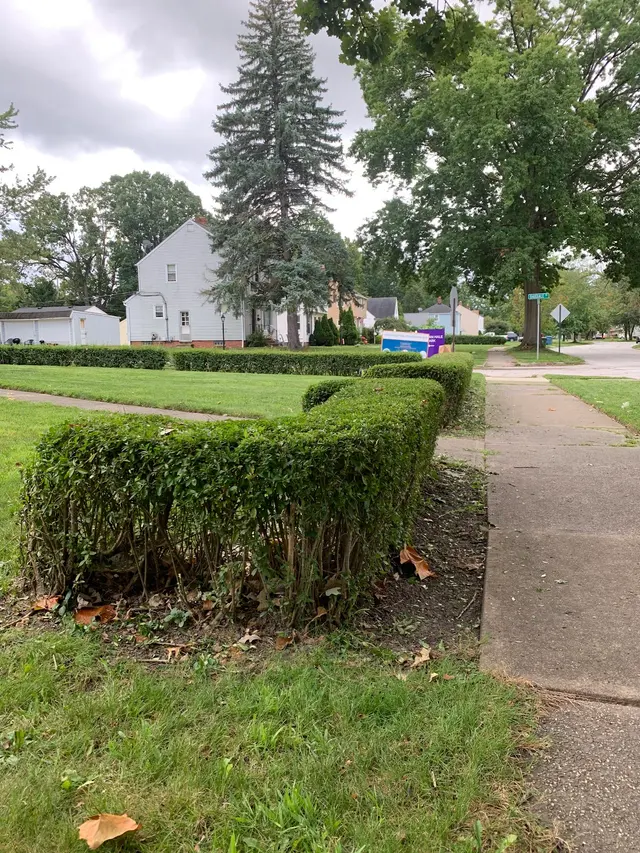 GREENCAY LANDSCAPING LLC — photo from the business 11