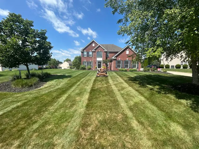 Grass 'n' Gardens — photo from the business 6