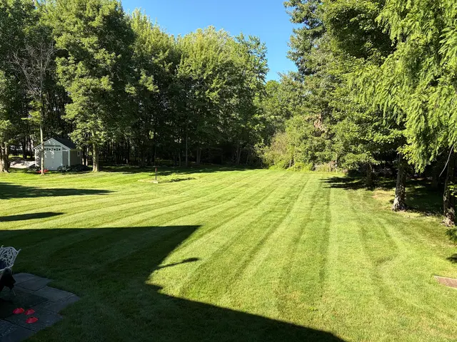 Grass 'n' Gardens — photo from the business 9