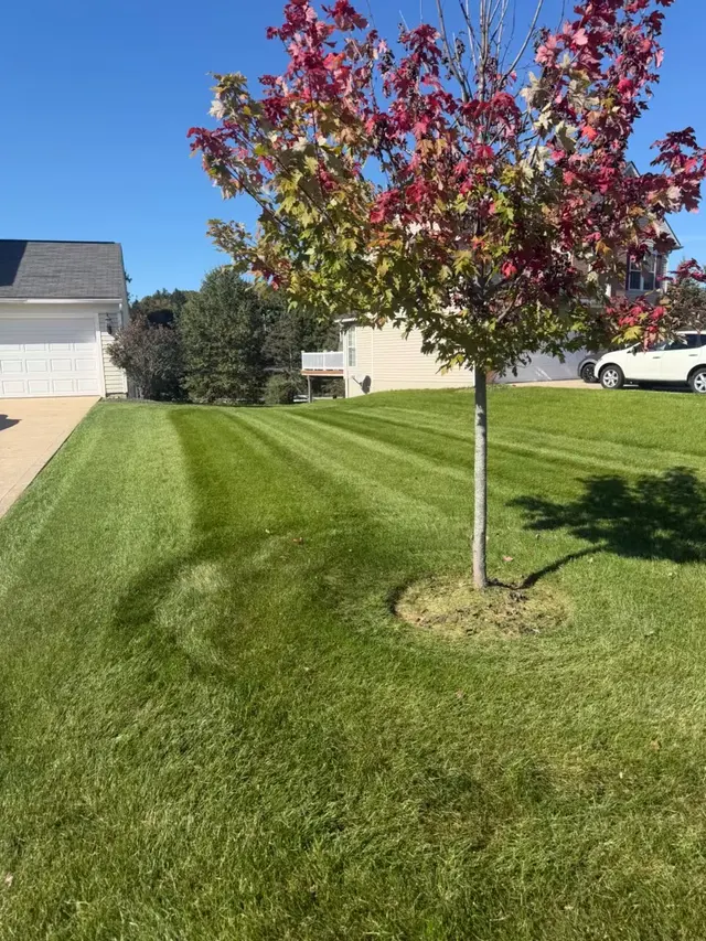 Grass 'n' Gardens — photo from the business 5