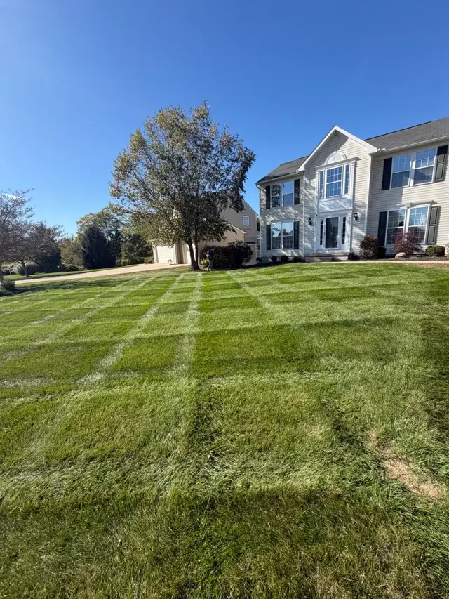 Grass 'n' Gardens — photo from the business 2