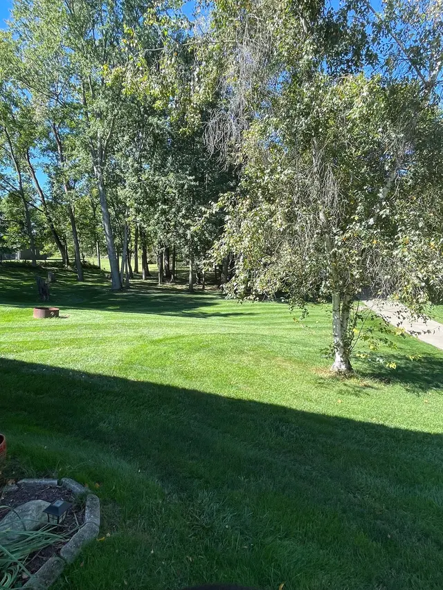 Customer photo of work by Lawn Doctor of Parma-Middleburg Heights, from Renee Ackim's review