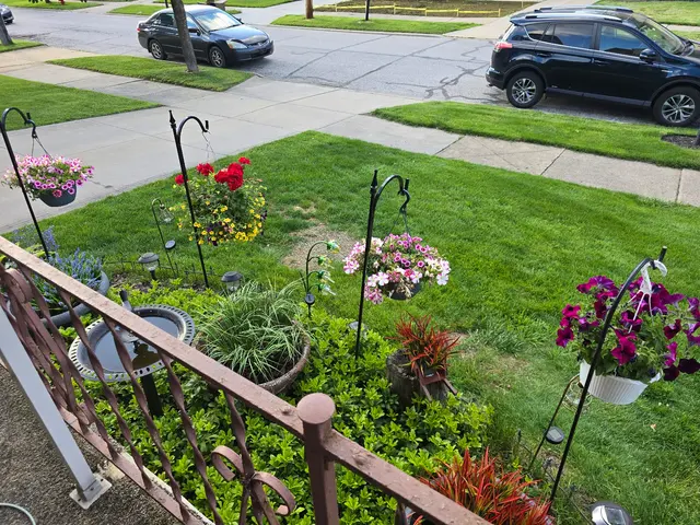 Customer photo of work by Lawn Doctor of Parma-Middleburg Heights, from Lori Mullins's review