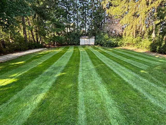 Lawn Doctor of Parma-Middleburg Heights — photo from the business 11