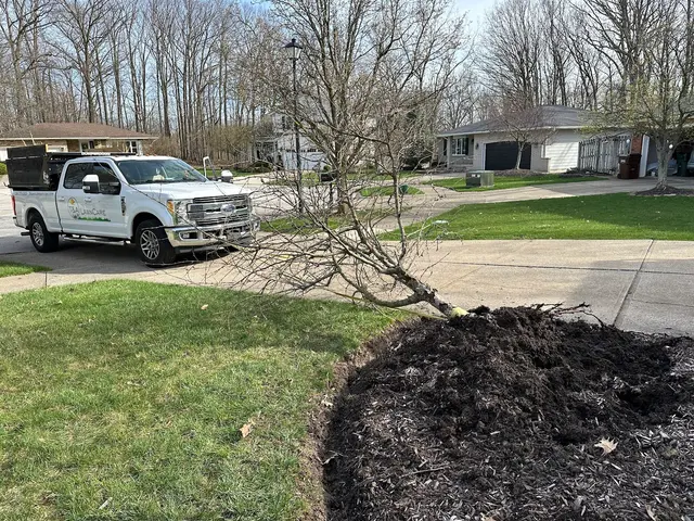 T&A Lawncare — customer photo 5