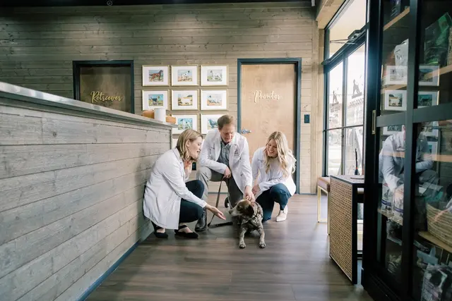 Good Dog Veterinary Care East Cobb — photo from the business 5