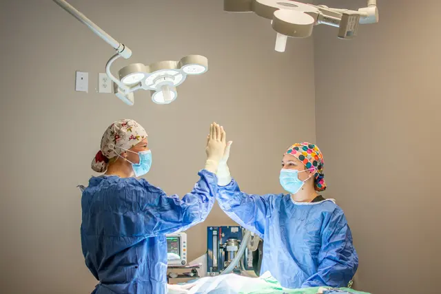 Good Dog Veterinary Care East Cobb — photo from the business 7