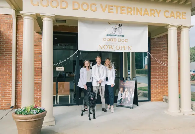 Good Dog Veterinary Care East Cobb — photo from the business 8