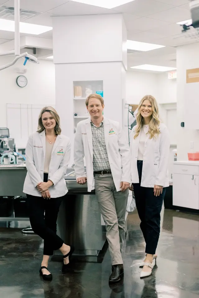 Good Dog Veterinary Care East Cobb — photo from the business 4