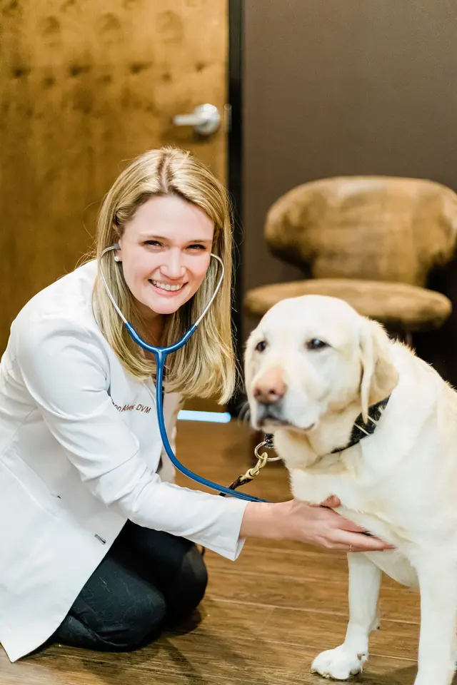 Good Dog Veterinary Care East Cobb — photo from the business 1