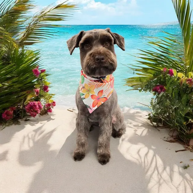 Dixie's Finest Grooming — photo from the business 7