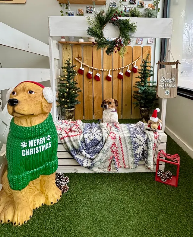Dirty Doggy Self-Serve Grooming - East Cobb / Canton Rd. — photo from the business 2