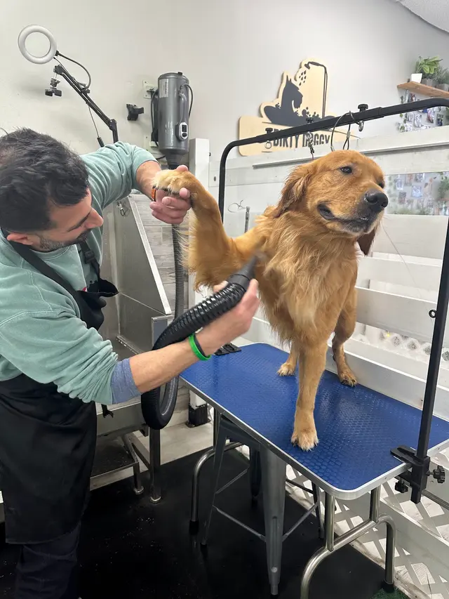 Dirty Doggy Self-Serve Grooming - East Cobb / Canton Rd. — photo from the business 4