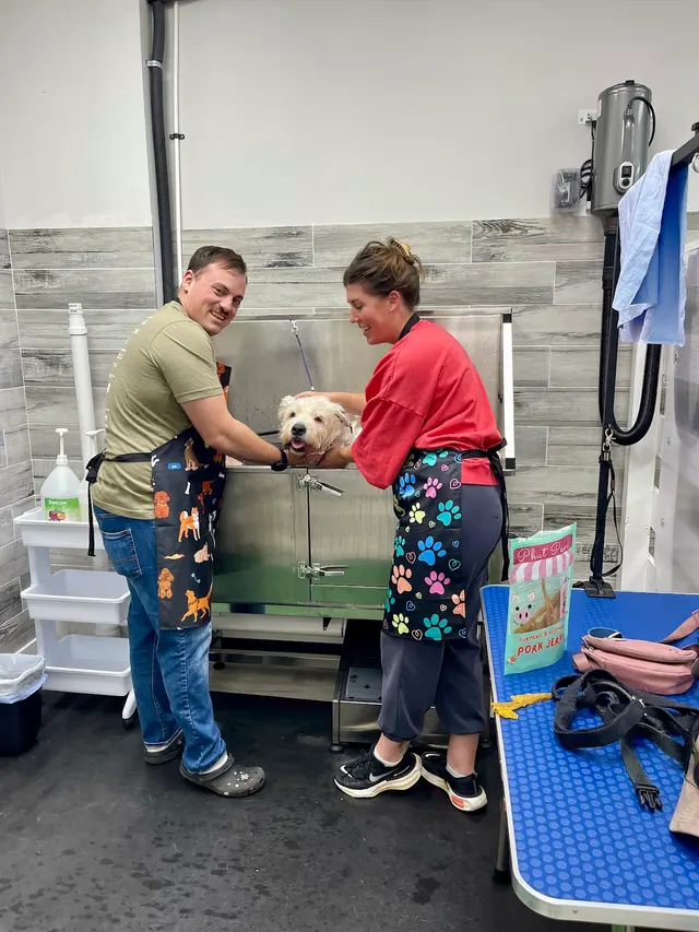 Dirty Doggy Self-Serve Grooming - West Marietta/West Cobb — photo from the business 8