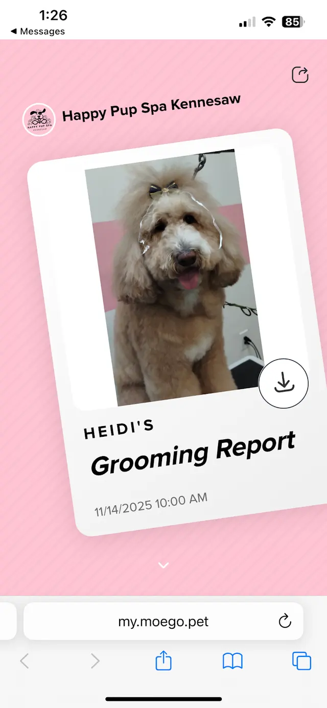Customer photo of work by Happy Pup Spa, from Mary Gerth's review