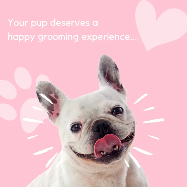 Happy Pup Spa — photo from the business 4