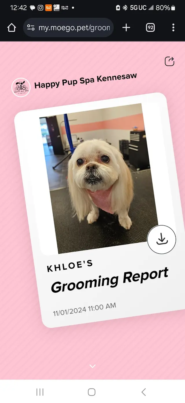 Customer photo of work by Happy Pup Spa, from Juanita Pauling's review
