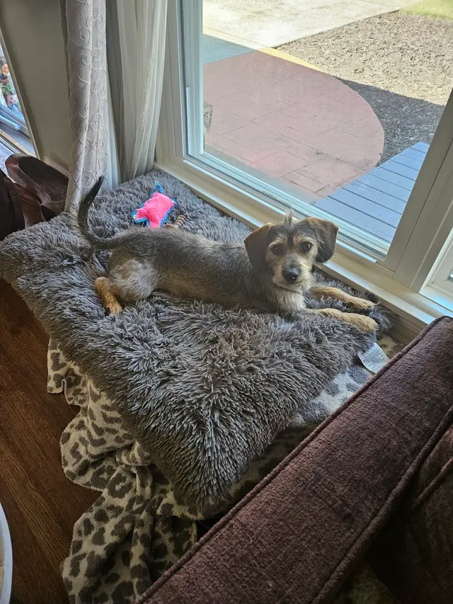 That Dirty Dog Inc — customer photo 11