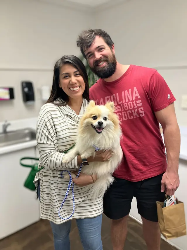Beyond Pets Animal Hospital & Urgent Care - formerly Town & Country Vet — photo from the business 11