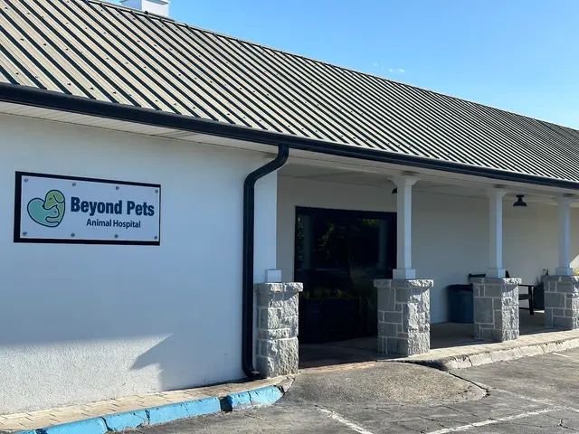 Beyond Pets Animal Hospital & Urgent Care - formerly Town & Country Vet — photo from the business 3