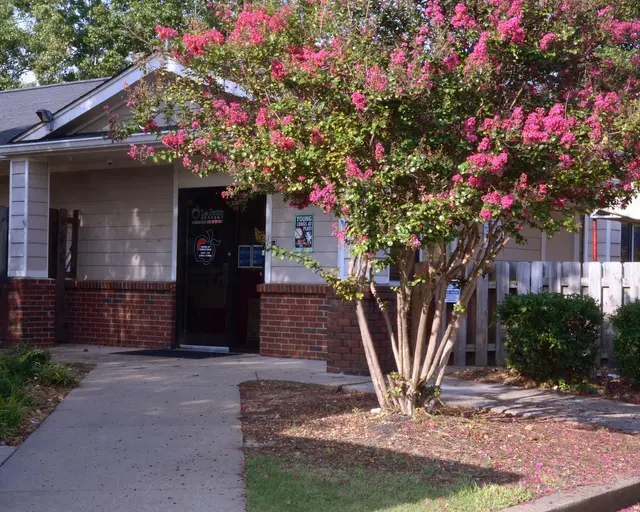 La Petite Academy on Meadow Vale Drive — photo from the business 8