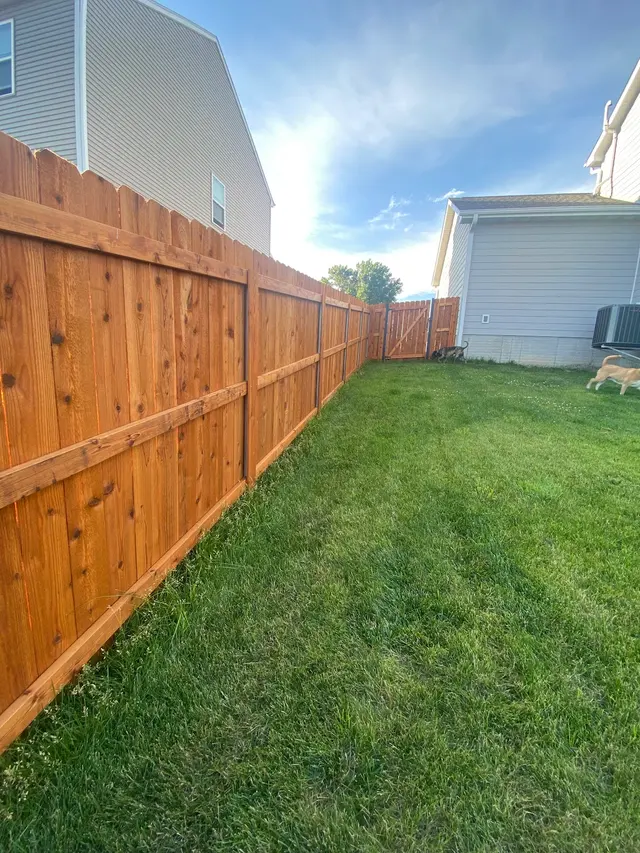 Thrive Fencing — customer photo 2