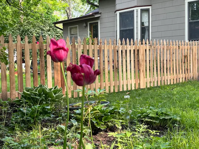 Thrive Fencing — photo from the business 7