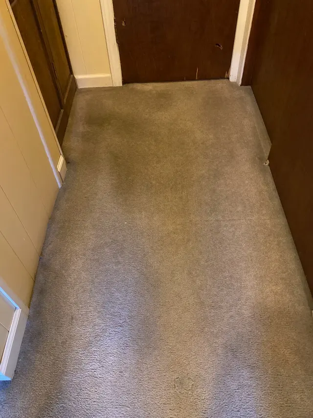 Customer photo from Joanne's review