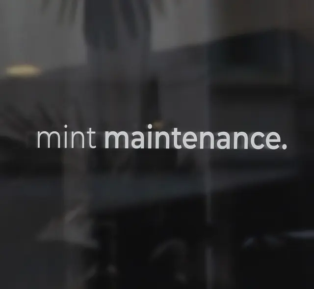 Mint Maintenance — photo from the business 1