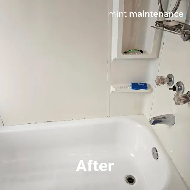 Mint Maintenance — photo from the business 3