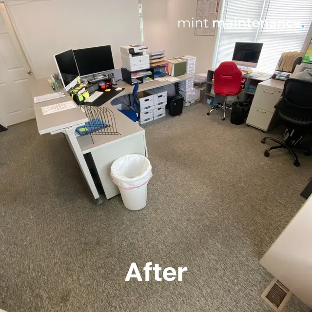 Mint Maintenance — photo from the business 11
