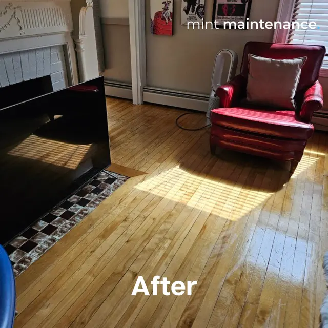 Mint Maintenance — photo from the business 2