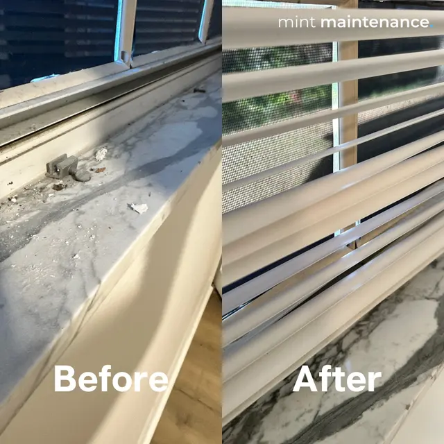 Mint Maintenance — photo from the business 12